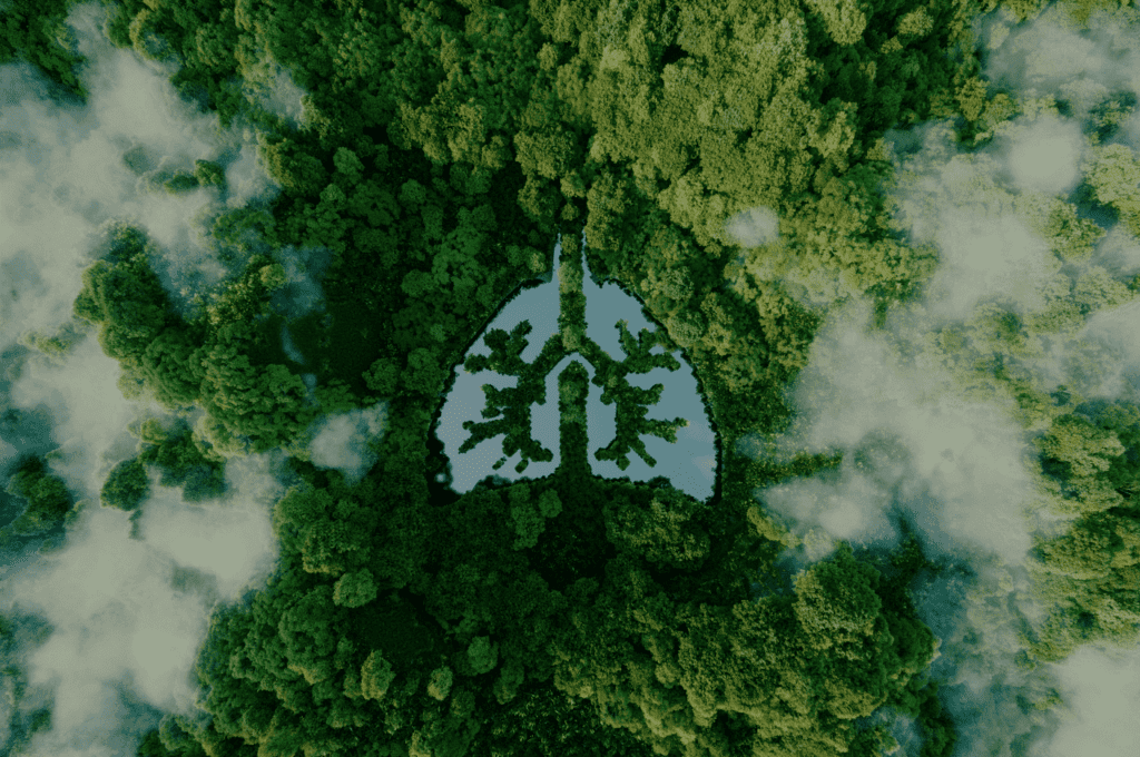 Sustainability Trend