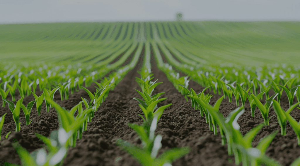 Sustainable Nutrition Trends global