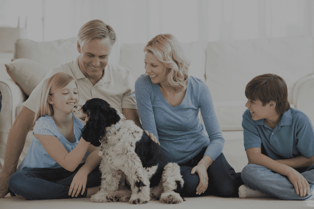 pet health trends