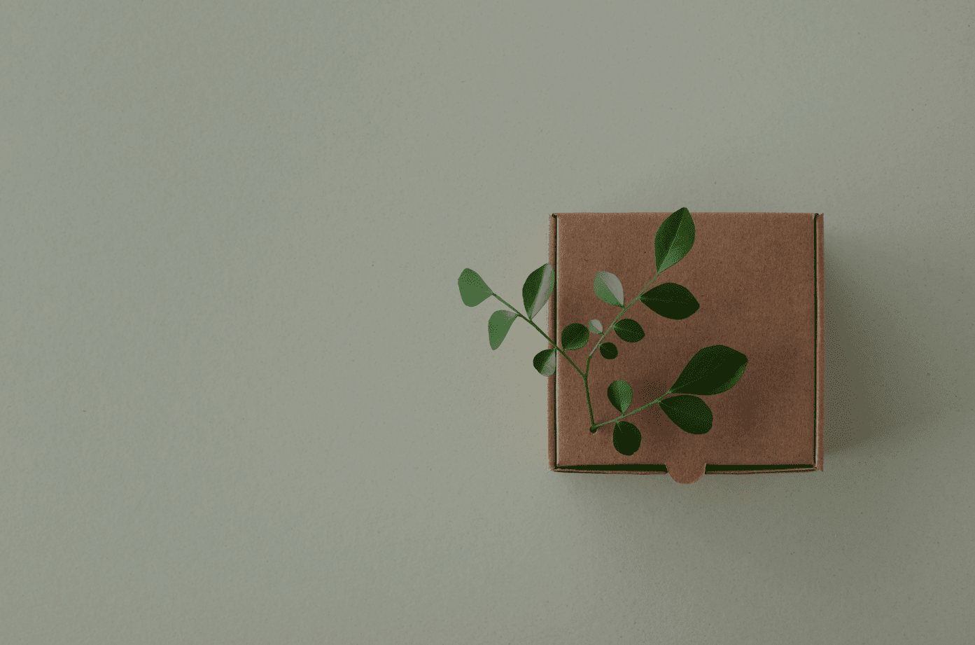 Limited-Edition Packaging Trends