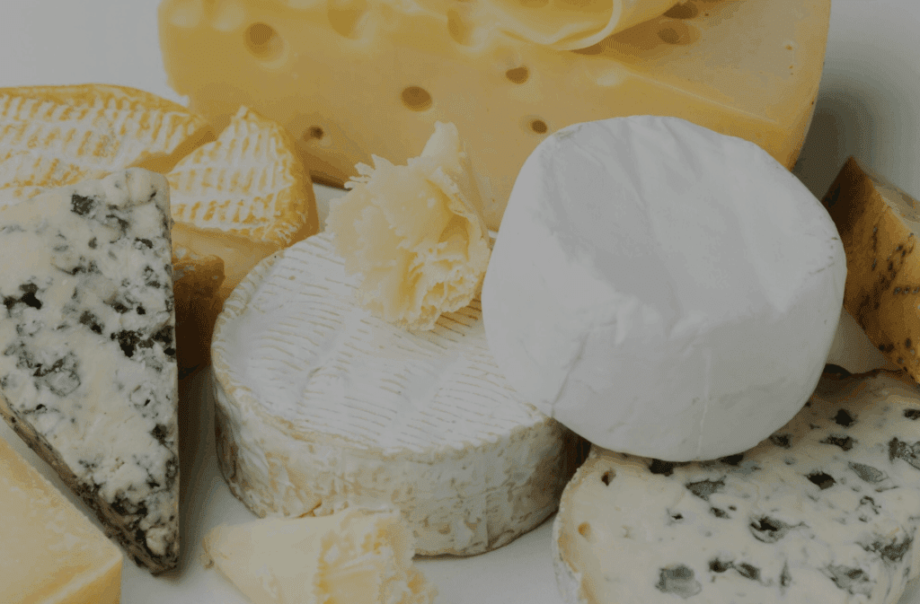 Cheese Market Trends in Europe