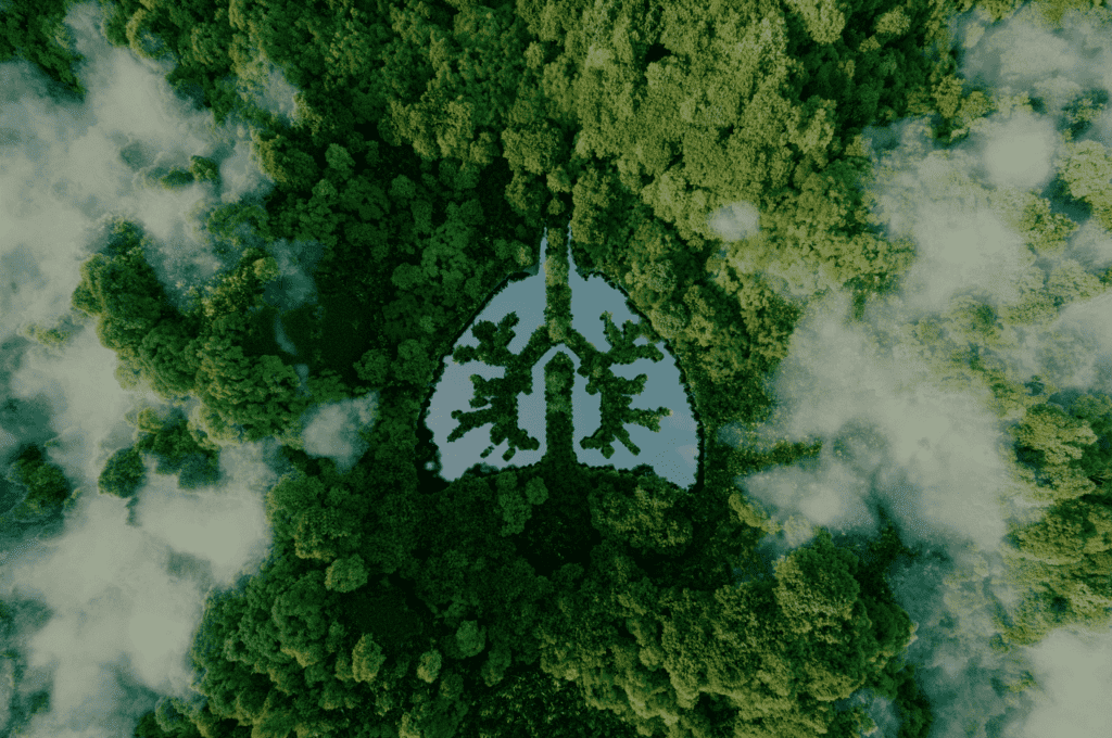 Sustainability Trend