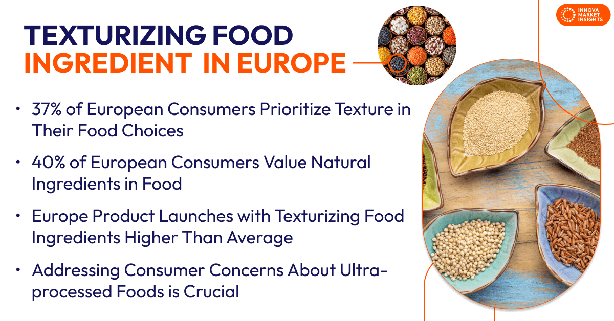 Texturizing Food Ingredients Trends in Europe