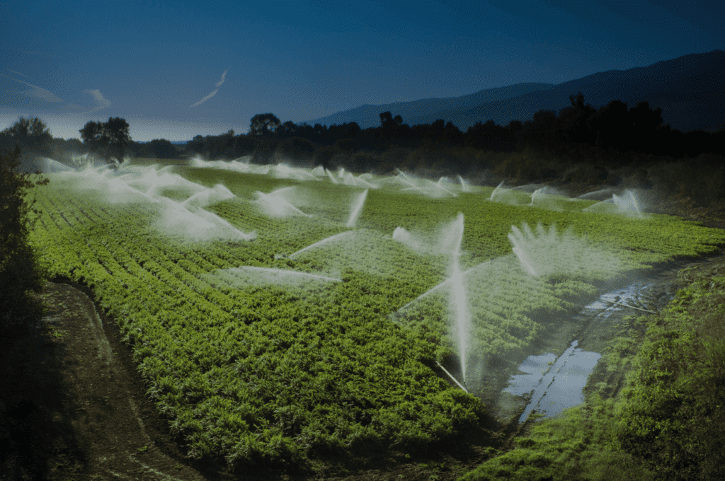 agriculture market trends