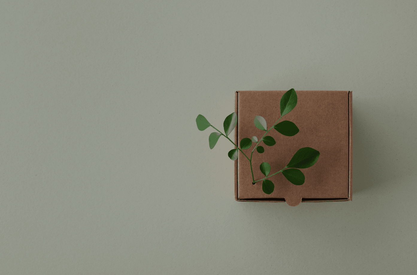 Limited-Edition Packaging Trends